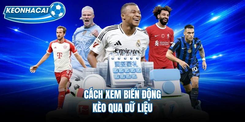 Cách xem biến động kèo qua dữ liệu